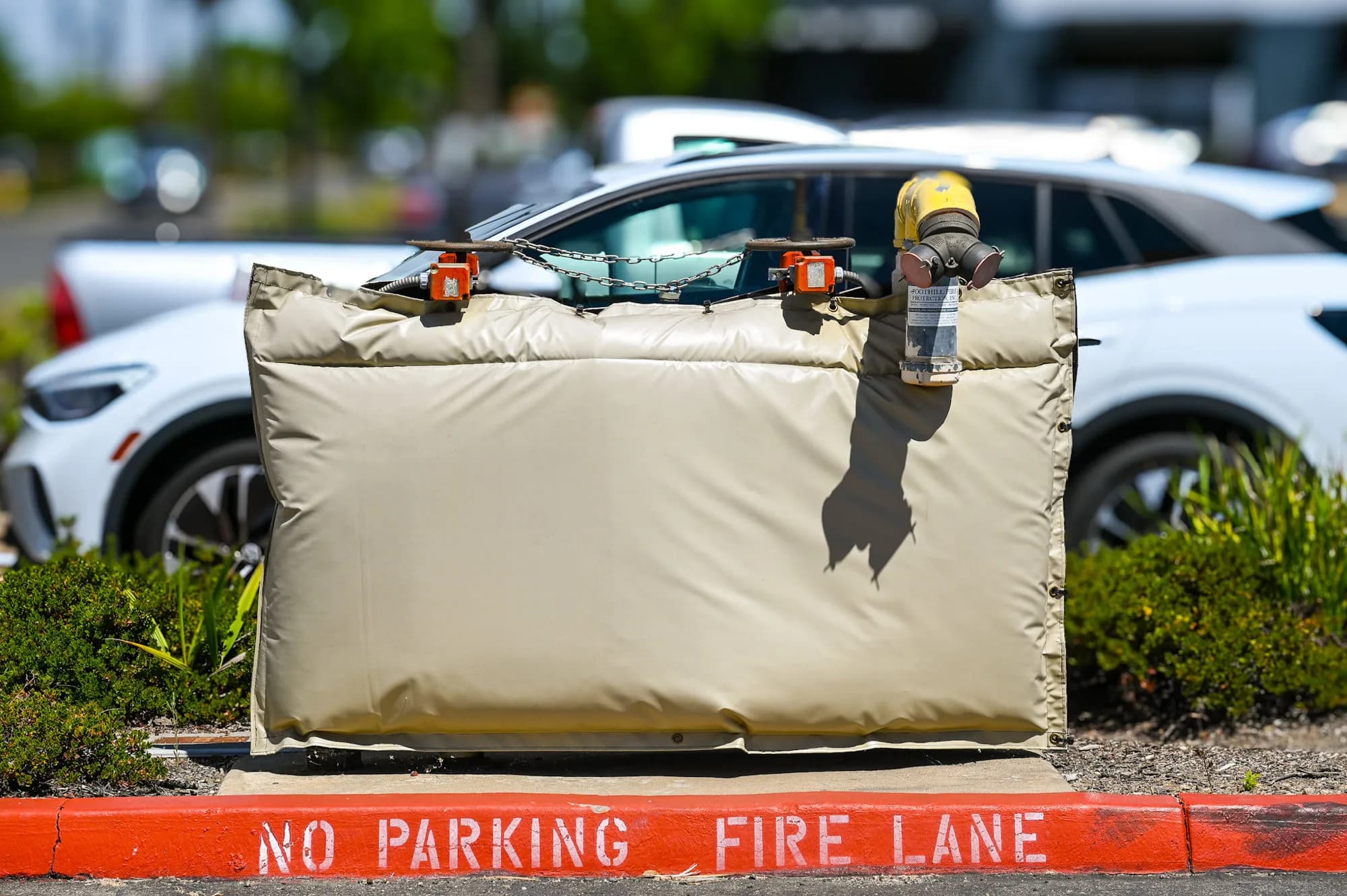 Tan insulated backflow cover protecting a fire-line assembly along a commercial fire lane, with tamper switches, supervisory chain, and the FDC connection exposed above the cover.
